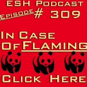 FlamingPanda